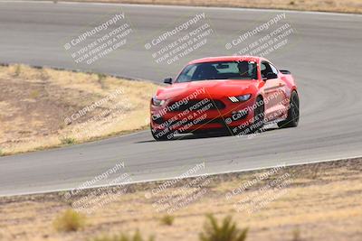 media/Oct-25-2025-West Coast Racing (Sat) [[9fdcbcd09c]]/Novice group/Turn 2/